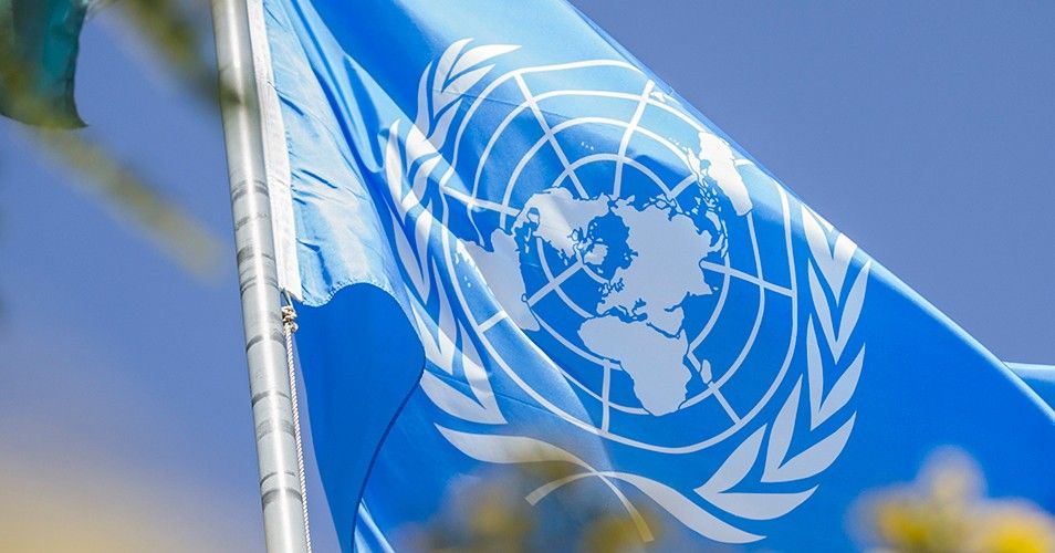 Война, климат, образование: Комитет ООН выпустил рекомендации для России